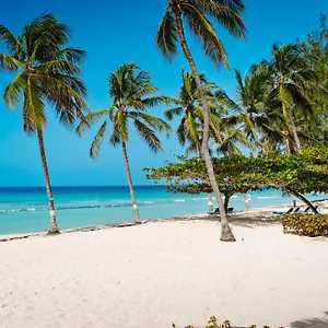 Coconut Court Отель